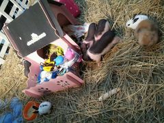 android_upload_pic-万达广场(南京江宁店)