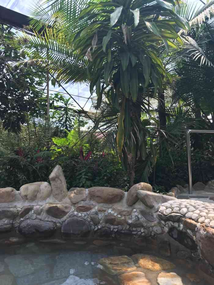天籁谷露天温泉-"非常好感谢朋友热情款待.下次聚会还来.