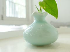 -茶庐(百花洲路店)