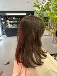 -付军剪艺JF ProSalon