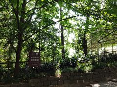 -成都市活水公园