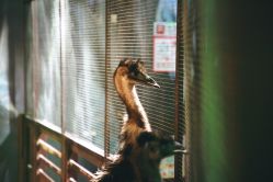 -酷嗒动物文化乐园(cutezoo西溪乐天城店)