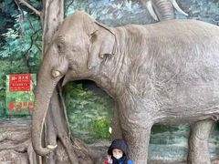 -蓝莓果幼儿园(通州梨园店)