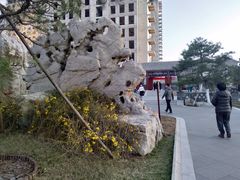 -西海子公园