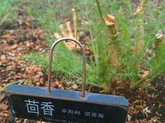 -黄兴公园