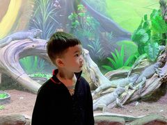 -华夏文旅海洋公园