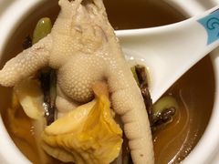 石橄榄响螺炖老鸡-粤凤佬