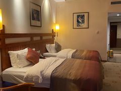 -雅安楠水阁温泉酒店