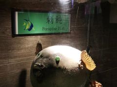 -太平洋海底世界