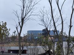 -成都大熊猫繁育研究基地