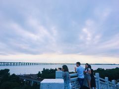 -宝安西湾红树林湿地公园