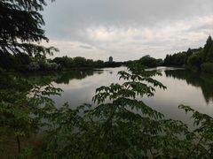 -苏州太湖国家湿地公园