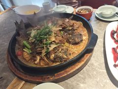 -老板恋上鱼(恒隆广场店)