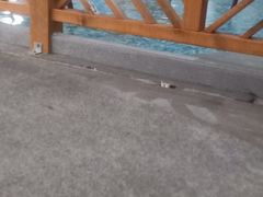 -水中央富硒温泉