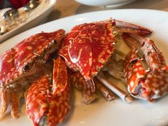 螃蟹-Isla Sugbu Seafood City