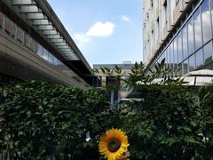 -中海环宇荟