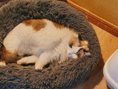 -白兔子密室(长寿路店)