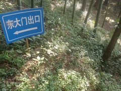 -上海佘山国家森林公园天马山园