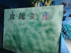 -东方巨龟苑景区