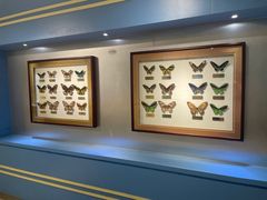 -上海昆虫博物馆