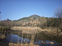 -西湖风景区-江洋畈生态公园