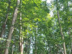 -桤木河湿地公园