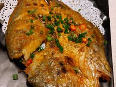 -九府羊·鲜羊火锅·烤串(新华路店)