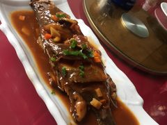 -臭桂鱼儿特色餐厅(朝晖七小区北区店)