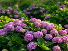 -湖南烈士公园(芙蓉区)
