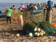 -尼甘布海鲜市场