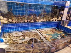 水产区-乔哥铭洋海鲜自助(皇城恒隆广场店)