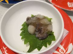 -京樽回転寿司(奥林匹克店)
