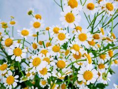 -天津东丽湖风景区