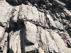 -盐洲岛