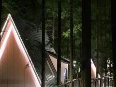 -黄海国家森林公园