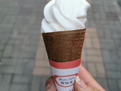 -富豪雪糕车流动点(尖沙咀店)