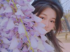 -武汉紫薇都市田园