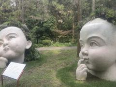 -上海共青森林公园