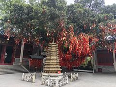 -国恩寺