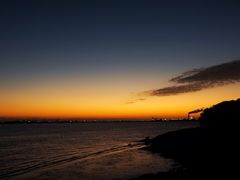 -上海吴淞炮台湾国家湿地公园