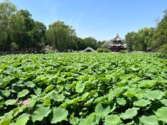 -莲池书院博物馆