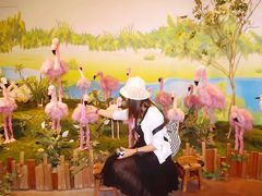 -济州岛泰迪熊博物馆