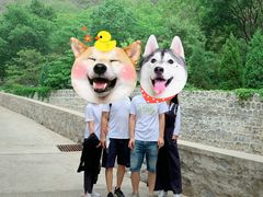 -北京上方山国家森林公园