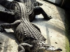 -秦皇岛野生动物园