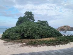 -三亚蜈支洲岛旅游区
