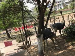 -西安秦岭野生动物园
