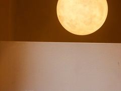 -伊斯坦布尔土耳其清真咖啡餐厅