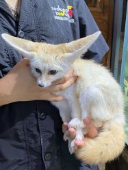 -Zoolung Zoolung动物主题公园(海信广场店)