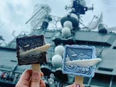 -泰达航母主题公园