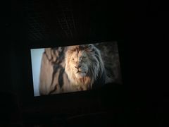 -博纳国际影城IMAX(中央大道店)